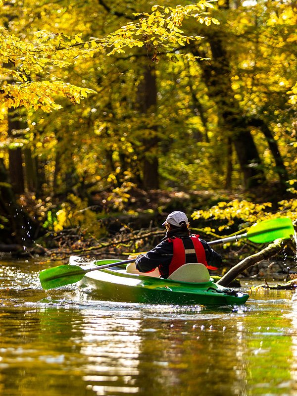 Drawa spływ kajakiem jesienią